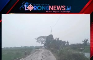 Jalan Rusak Parah di Ruas Sukahurip–Tambelang, DPD IWO Indonesia Kabupaten Bekasi Desak Pemkab Segera Bertindak
