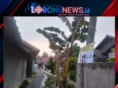 Ketua DPD IWO Indonesia Kabupaten Serang Suprani Apresiasi Transparansi Pembangunan Desa Purwadadi
