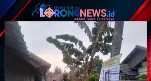 Ketua DPD IWO Indonesia Kabupaten Serang Suprani Apresiasi Transparansi Pembangunan Desa Purwadadi