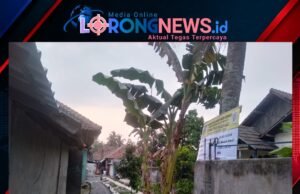 Ketua DPD IWO Indonesia Kabupaten Serang Suprani Apresiasi Transparansi Pembangunan Desa Purwadadi