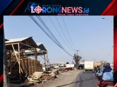 Pasca Kebakaran, Lapak Kayu Palet di Kedungwaringin Kembali Berdiri, DPD IWO Indonesia Kabupaten Bekasi Minta Evaluasi Menyeluruh